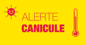 LA BRUMISATION VOTRE ALLIE CONTRE LA CANICULE