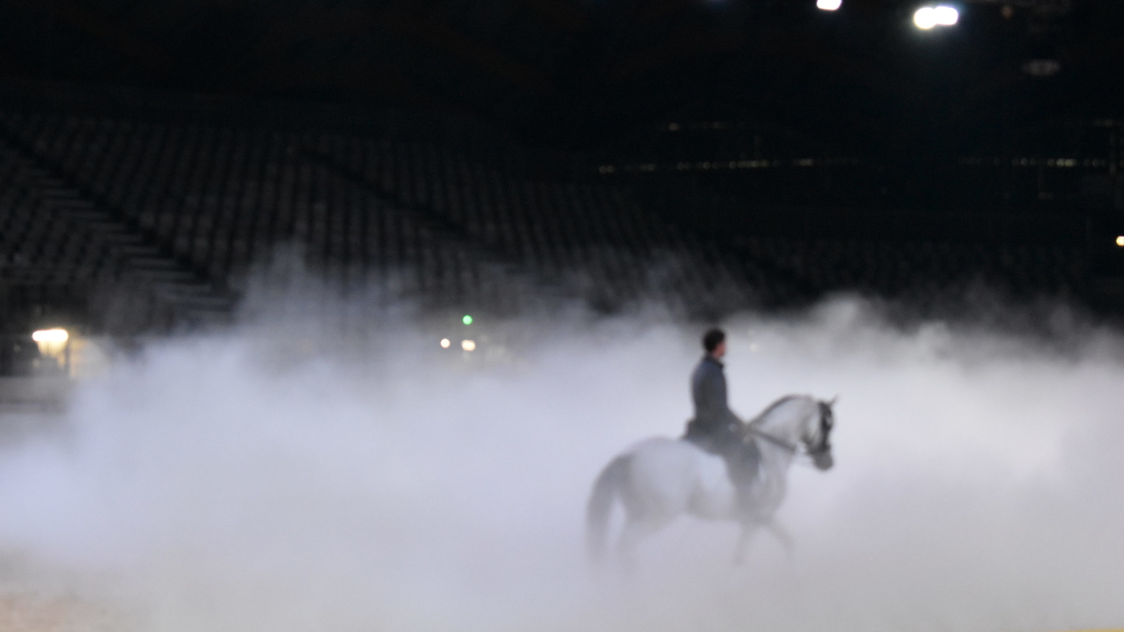 L’importance de la brumisation pour chevaux