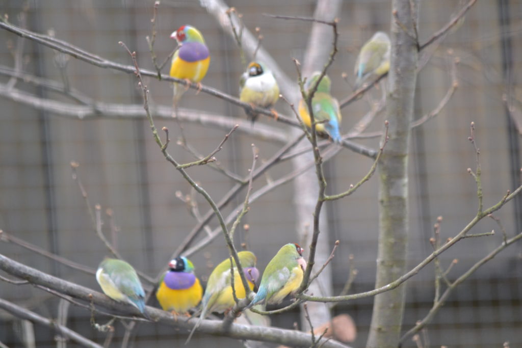 LE PARC DE BEAUVAL EST PRET A VOUS ACCUEILLIR