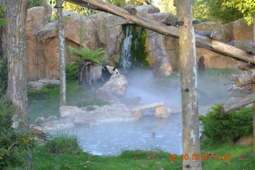 LE PARC DE BEAUVAL EST PRET A VOUS ACCUEILLIR