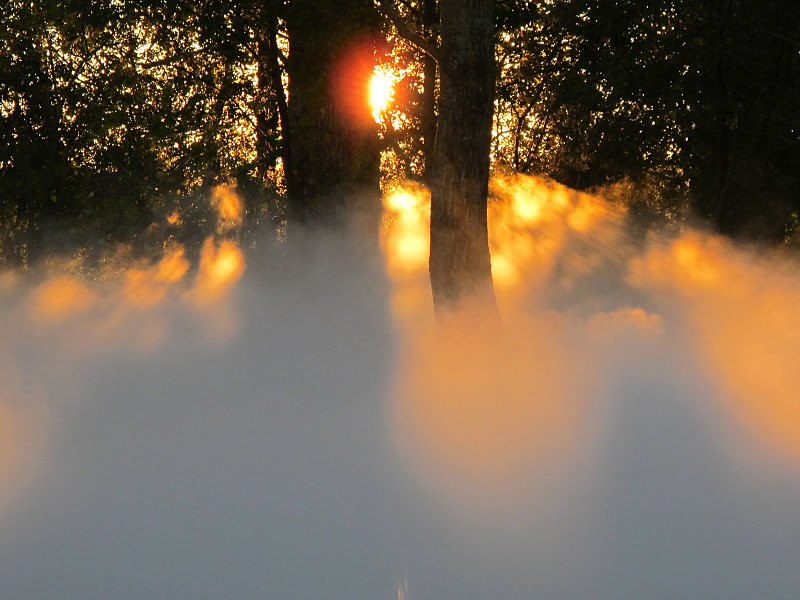 Dutrie SA : an international Fog system company