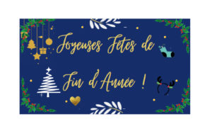 DUTRIE SAS VOUS SOUHAITE DE JOYEUSES FETES DE FIN D’ANNEE !