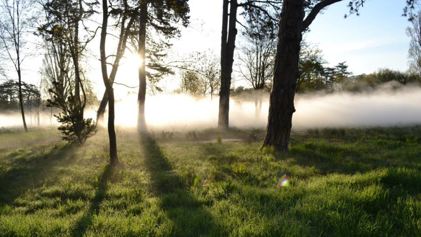 La brumisation : une solution écologique pour rafraîchir votre environnement