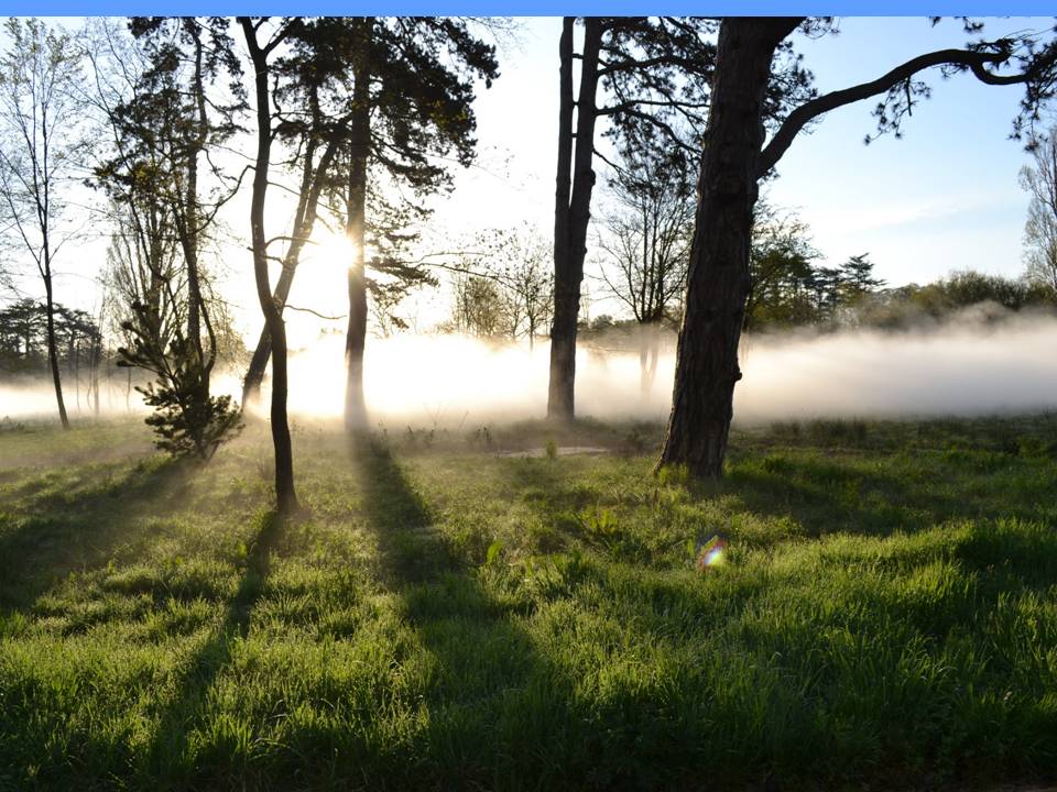 La brumisation : une solution écologique pour rafraîchir votre environnement