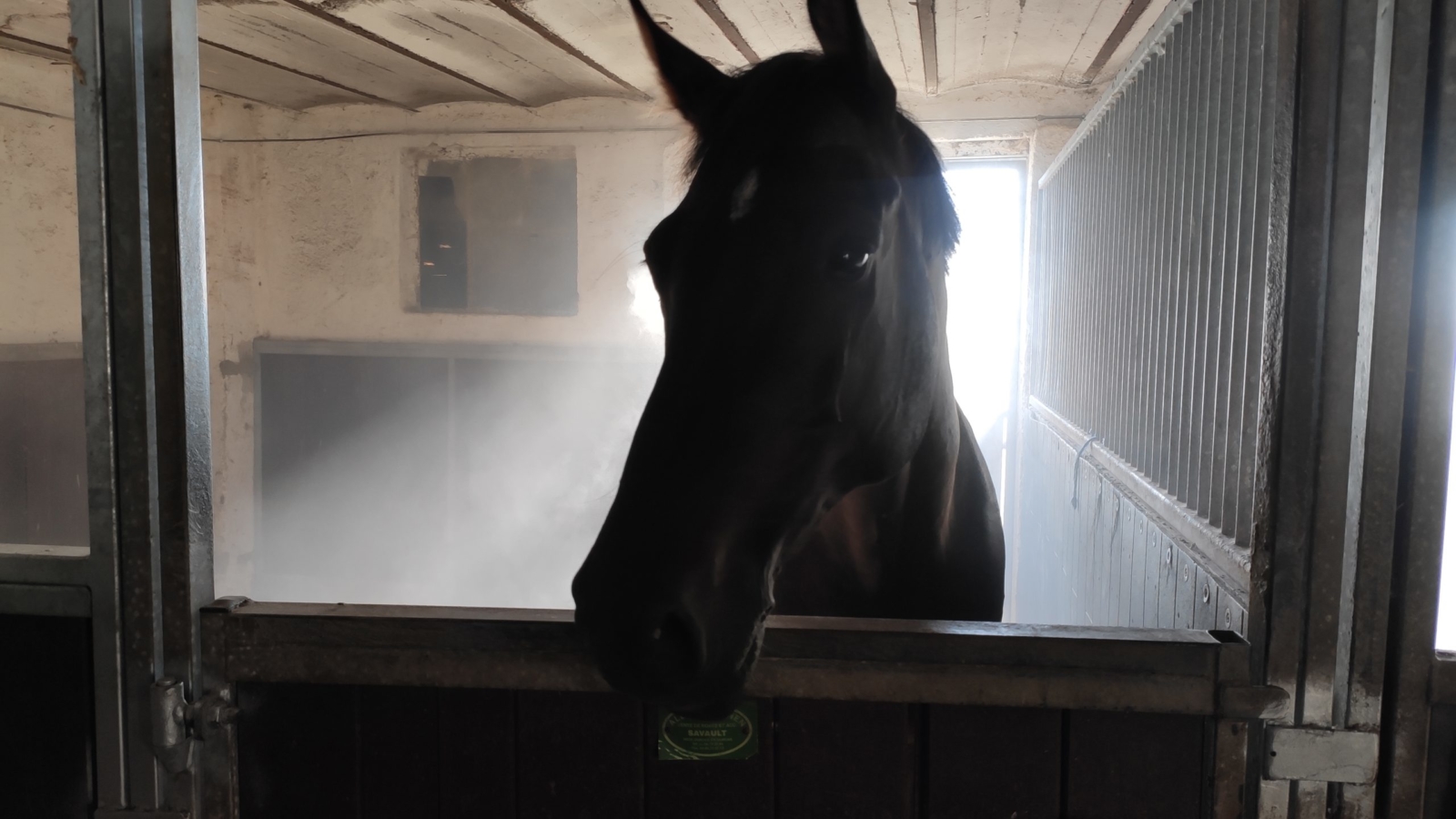 LA BRUMISATION POUR LES INSTALLATIONS EQUESTRES