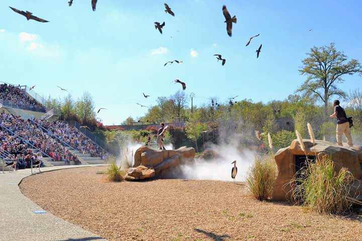 La brumisation pour les parcs et les zoos