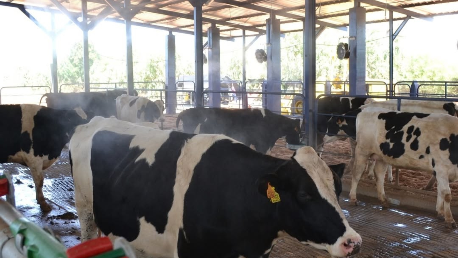Dutrie sera présent au Sommet de l’Élevage 2025